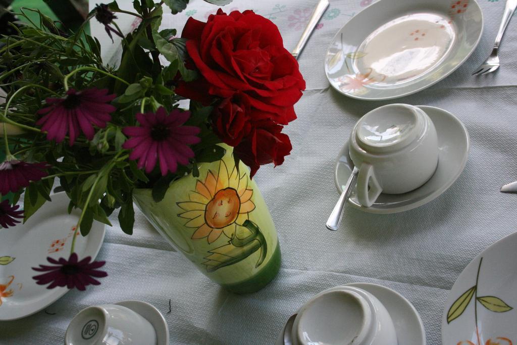 Des Roses Hotel Платаньяс Экстерьер фото